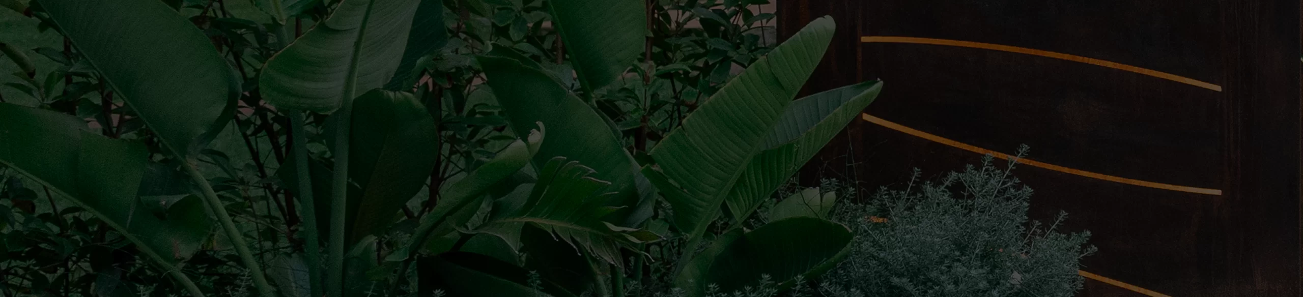 hotel ad alba adriatica